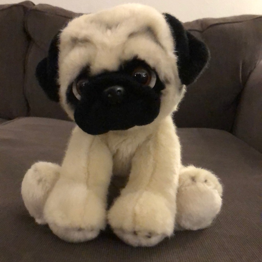 Pug stuffed animal, sad eyes